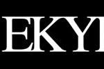 logo-artekyp